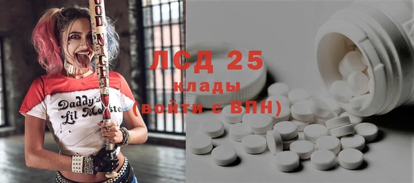 винт Абаза