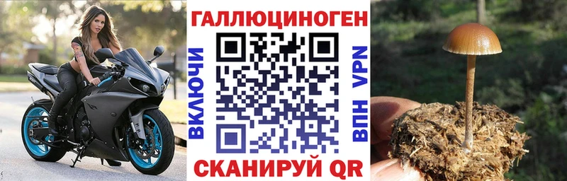 Галлюциногенные грибы Cubensis наркота гидра ТОР дарк нет наркотические препараты Ипатово