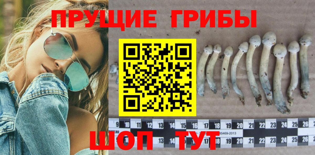 Псилоцибиновые грибы MAGIC MUSHROOMS Ипатово