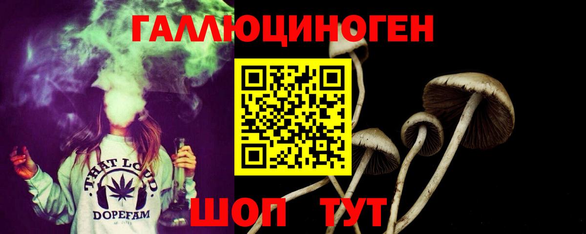 Псилоцибиновые грибы Psilocybine cubensis  Псилоцибиновые грибы MAGIC MUSHROOMS  как найти закладки  Ипатово  Вход с VPN 