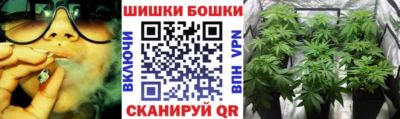 Конопля гибрид  Ипатово 